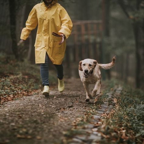 Walks With Dog, Dog With Owner, Walking With Dog, Life With A Dog, Pet Photography Poses, Dog Walking Outfit, Walking A Dog, Dogs Walking, Walk Dog