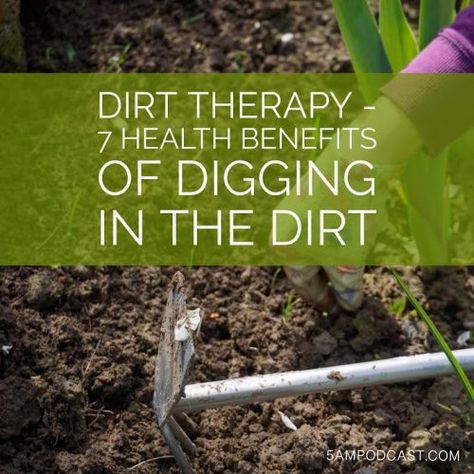 Dirt Therapy – 7 Health Benefits of Digging in the Dirt Dirt Therapy, Better Food Choices, Holistic Therapies, Harvard Medical School, Major Muscles, Muscle Tension, Cardiovascular Disease, Grow Your Own Food, Health Center