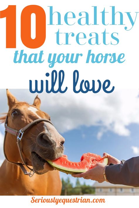 Homemade Horse Treats, Healthy Horses, Horse Food, Horse Care Tips, Equestrian Problems, Horse Treats, Horse Tips, Horse Diy, Horse Trailers