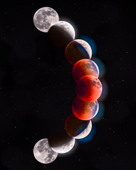 Total Lunar Eclipse, Celestial Objects, Earth Images, Telescope Accessories, Planetary Science, Moon Eclipse, Lunar Eclipse, Beautiful Moon, Moon Goddess