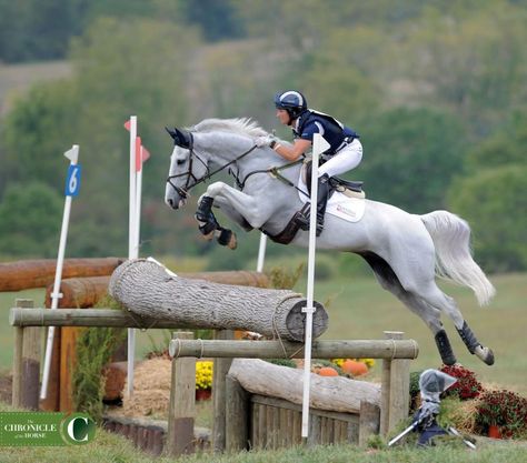 Eventing Cross Country, Cross Country Jumps, Show Jumping Horses, Rasy Koni, Eventing Horses, Horse Aesthetic, Grey Horse, Horse Blankets, Horse Jumping