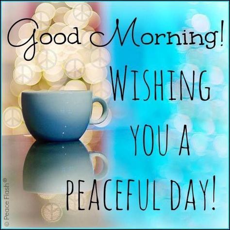 Good Morning! Wishing You A Peaceful Day! morning good morning morning quotes… Great Day Quotes, Funny Good Morning Memes, Funny Good Morning Messages, Funny Good Morning Images, Morning Quotes For Friends, Peaceful Day, God Natt, Morning Memes, Morning Morning