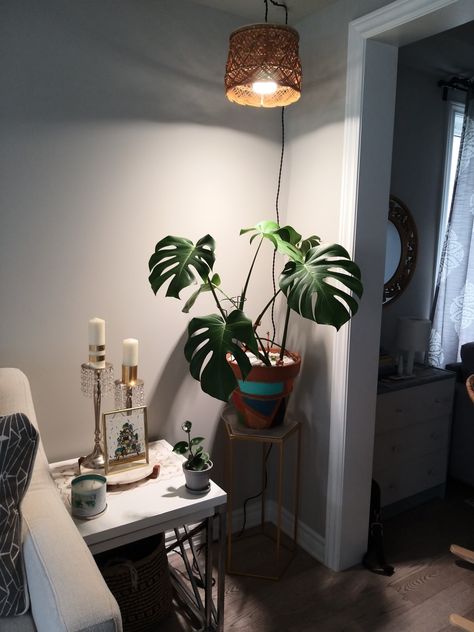 This monstera deliciosa needed extra light, so I added a grow light (sansi) it was working fine but I did not like the look of it. I wanted something boho but did not want to spend a lot too. So took a trip to thrift store, got a basket for CAD 3, made a hole at the bottom of it and inserted the growlight!!! Love the look specially when it was created for 3 dollars only ☺ Grow Light Aesthetic, Plant Room Grow Lights, Aesthetic Grow Light, Neon And Plants Aesthetic, Cute Grow Light Setup, Plant Grow Light, Budget Decor, Light Aesthetic, Grow Light