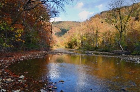 The fall colors are especially beautiful. Buffalo River Arkansas, Arkansas Camping, Arkansas Road Trip, Ozark National Forest, Known And Loved, Arkansas Travel, Float Trip, Hot Springs National Park, Ozark Mountains