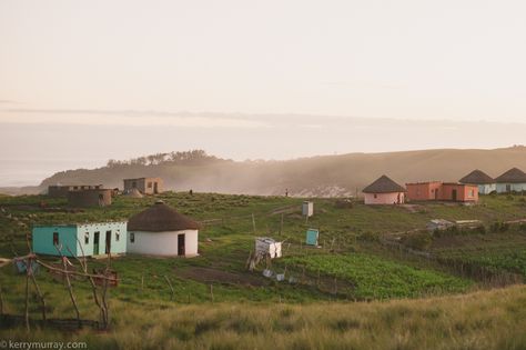 Mdumbi Beach, Transkei | South Africa – Kerry Murray Nguni Cows, Nguni Cattle, South Africa Travel Guide, African Image, Africa Travel Guide, Eco Lodge, British Garden, South Africa Travel, Eastern Cape