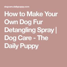 Detangler Spray Diy, Dog Grooming Diy, Detangling Spray, Dog Treats Homemade Easy, Dogs Accessories, Dog Toothpaste, Doodle Dogs, Dog Obedience Training, Dog Conditioner