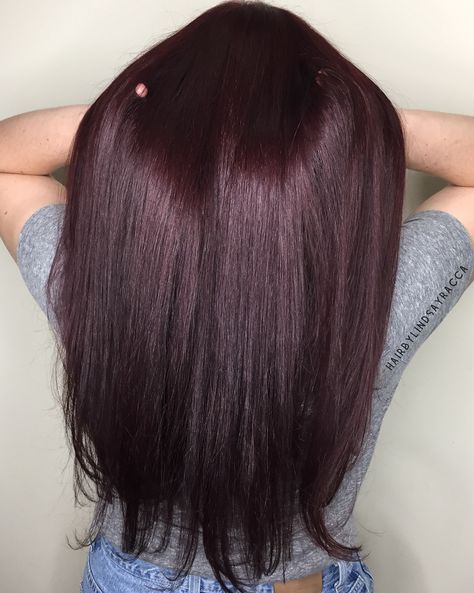 Mahogany Hair Color Burgundy, Brown Burgundy Hair Color, Pelo Color Borgoña, Color Trends 2024, Balayage Hair Color, Plum Hair, Wine Hair, Brunette Balayage, Types Of Hair