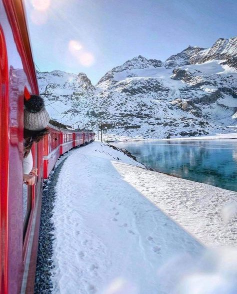 Bernini Express Train, Bernina Express, Semester Abroad, Express Train, Travel Agency, Travel Dreams, Vision Board, Train, Collage