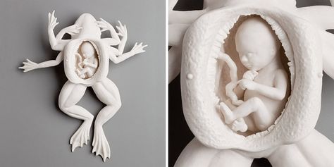 Kate Macdowell, Decor Marin, Sculptures Céramiques, Porcelain Art, Ap Art, Sculpture Installation, Cold Porcelain, Porcelain Ceramics, Art Sculpture