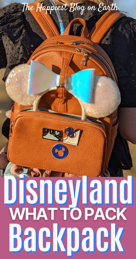 Disneyland Backpack, Bag Must Haves, Disney Trip Surprise, Plus Size Disney, Backpack Essentials, Maps For Kids, Disneyland Tips, Travel Trailer Remodel, Purse Essentials