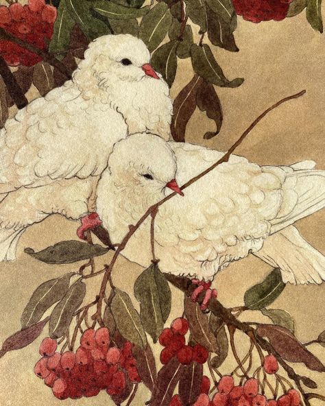 Up close with the Christmas Doves🥀 | Instagram Two Birds Aesthetic, Doves Aesthetic, Doves Illustration, Dove Reference, Dove Illustrations, White Bird Painting, Dove Paintings, Dove Artwork, Dove Wings