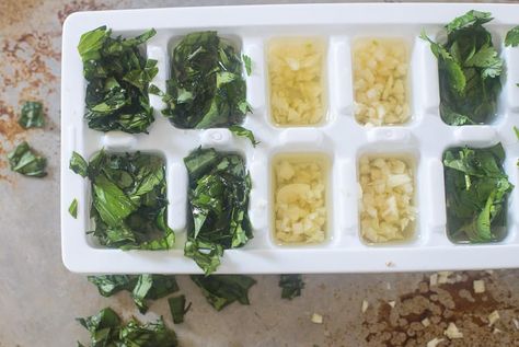 Placing fresh herbs in an ice cube tray Freeze Fresh Herbs, Freezing Fresh Herbs, Freezing Herbs, Garlic Scapes, Ice Cube Tray, Palak Paneer, Food Preparation, Ice Cube, Fresh Herbs