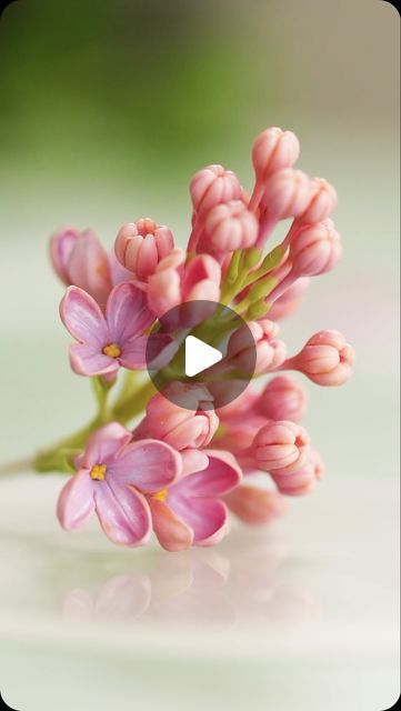 Polymer Clay Flower Bouquet, Diy Cute Crafts, Flower Combinations, Lilies Of The Valley, Baby Flower, New Country, Favorite Flower, August 28, Making Crafts