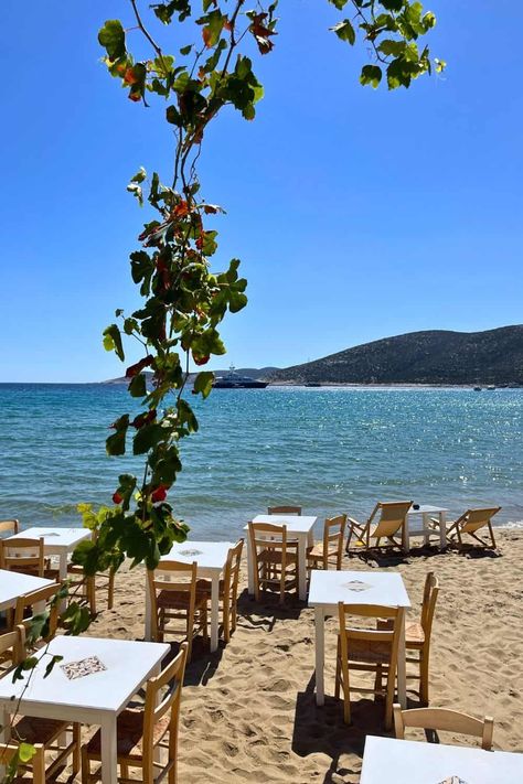 Is Sifnos Greece worth visiting? Find out why Sifnos needs to be on your Greek island bucket list. This is one of the best Greek islands to visit this year, so don't miss out on this Greece hidden gem. | sifnos greece photography | sifnos island greece | sifnos island greece aesthetic | top greek islands to visit Sifnos Island Greece, Island Bucket List, Sifnos Greece, Syros Greece, Greek Islands To Visit, Greece Aesthetic, Best Greek Islands, Islands To Visit, Greek Summer