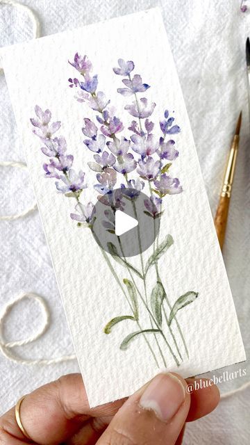 Drawings Of Lavender, Watercolor Lavender Tutorial, How To Paint Lavender Flowers, How To Draw Lavender, Watercolor Flower Ideas, Easy Flower Watercolor, Lavender Flower Painting, Watercolor Lavender Flowers, Lavender Drawing