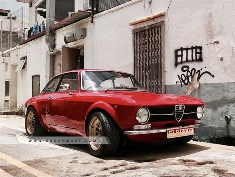 Classic Alfa Romeo, Alfa Bertone, Alfa Male, Alfa Gta, Alfa Romeo Junior, Alfa Cars, Alfa Gtv, Alfa Romeo Gta, Luxury Car Photos