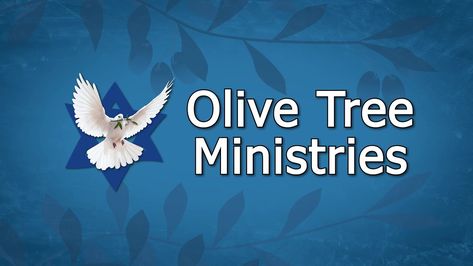 Olive Tree Prophecy Update: The “Times of the Jews: They’re Almost Here!” Prophecy Update, Bible Truths, Bible Prophecy, Bible Truth, Olive Tree, Bible, The Creator