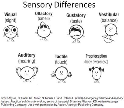 seven senses  | senses | Sensory Activities Body Regulation, 7 Senses, Sensory Diet, Aba Therapy, Processing Disorder, Sensory Integration, Sensory Issues, Sensory Processing Disorder, Body Awareness