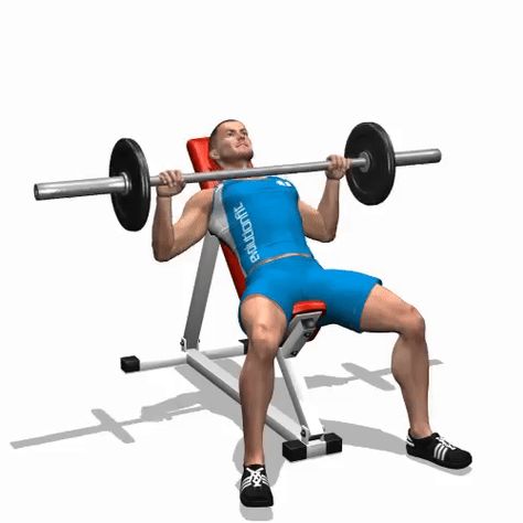 How to Perform Barbell Incline Bench Press.  http://healthkartclub.blogspot.com/2016/12/how-to-perform-barbell-incline-bench.html Barbell Bench Press, Westside Barbell, Bench Press Workout, Barbell Press, Weight Training Programs, Push Day, Incline Bench, Dumbell Workout, Strength Training Program