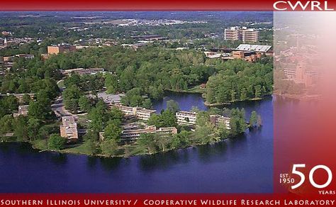 Southern Illinois University Carbondale Carbondale Illinois, Illinois River, Southern Illinois University, Solar Eclipses, Southern Illinois, College Campus, University Campus, Lake Michigan, Countries Of The World