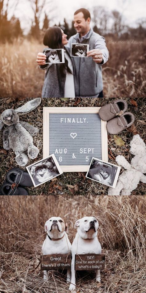 Family Pictures Pregnancy Announcement, Baby Announcements With Dogs, Baby Announcement Photoshoot With Dogs, Surrogate Pregnancy Announcement, Pregnancy Announcement Photos With Dogs, Surrogate Maternity Photos, Baby Announcing Ideas With Dog, Family Pregnancy Announcement Photos, Baby Announcement With Dogs