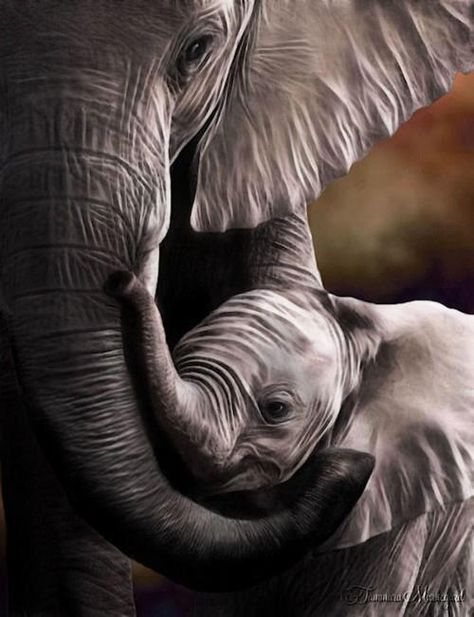 Elephantastic Love Pets Quotes, Elephant Quotes, Elephant Photography, Animal Babies, Africa Wildlife, Save The Elephants, Mama Elephant, Elephant Love, An Elephant