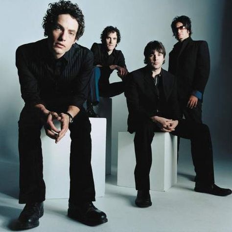 The Wallflowers The Wallflowers Band, Jakob Dylan, The Wallflowers, Collage Pics, 90s Songs, 90s Music, Concert Series, Guitar Stuff, Friedrich Nietzsche