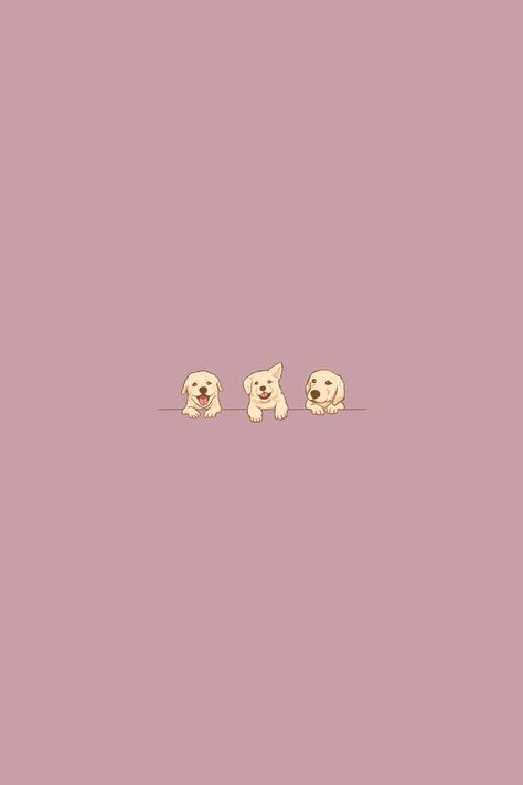 Dog Phone Wallpaper, Labrador Wallpaper, Perro Doberman Pinscher, Golden Retriever Wallpaper, Dog Wallpaper Iphone, Paw Wallpaper, Insta Reel, Room Collage, Cute Small Dogs