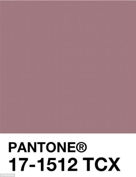 The Pantone shade is a mix between a dusty pink and mauve, and is a feminine choice for br... Dusty Mauve Paint Colors, Dusty Pink Pantone, Mauve Pantone, Pantone Shades, Bedroom Color Palette, Dust Pink, Dusty Pink Color, Bedroom Colour Palette, Dusty Mauve