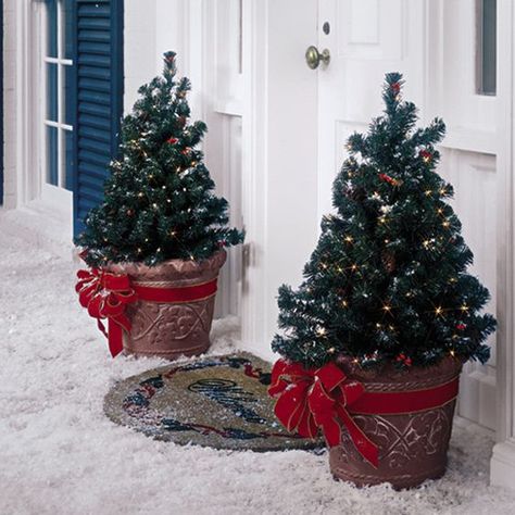 38 Outdoor Christmas Trees That Wow Porch Christmas Tree, Outdoor Christmas Planters, Potted Christmas Trees, Christmas Lodge, Hanging Christmas Lights, Pink And Black Christmas Tree, Pink And Black Christmas, Outdoor Christmas Tree, Pre Lit Christmas Tree