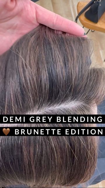 Brown Hair Blended With Gray, Level 6 Cool Brown Hair, Brown Hair Colors To Cover Gray, Gray And Brown Hair Color, Hide Greys With Highlights, Base Hair Color Shades, Heavy Highlights To Cover Gray, Hair Color To Hide Gray Roots, Easy Hair Color To Cover Grey