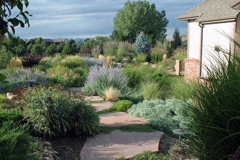 colorado+zeriscape+ideas | Xeriscape Garden PlantsColorado LandscapingJ&S LandscapeLongmont, CO Colorado Landscaping, Waterwise Landscaping, Xeriscape Front Yard, High Desert Landscaping, Landscaping Shrubs, Xeriscape Landscaping, Mulch Landscaping, Colorado Landscape, Drought Tolerant Landscape