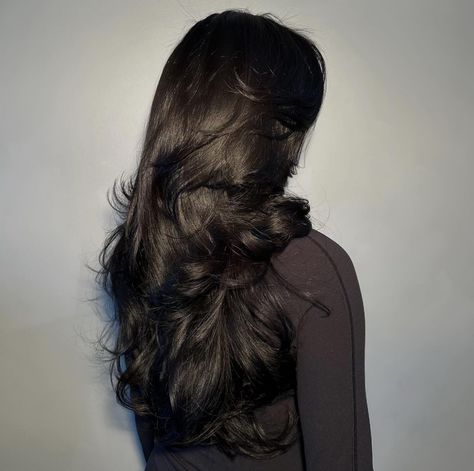 Dark Voluminous Hair, Black Hair Blowout, 1c Hair, Soft Black Hair, Feminine Hairstyles, Black Wavy Hair, Black Hair Aesthetic, Black Brown Hair, Wavy Haircuts