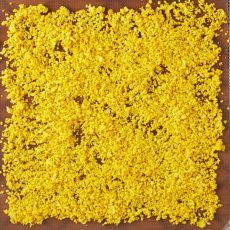 Dehydrate Pasta, Dehydrated Cauliflower, Dehydrate Citrus, Campfire Dinner Recipes, Vegetarian Camping, Pumpkin Powder, Camping Dessert Recipes, Trail Food, Camping Dishes