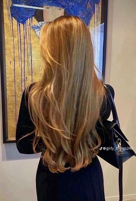 Rambut Brunette, Dirty Blonde Hair, Blonde Hair Inspiration, Long Blonde, Long Blonde Hair, Hair Inspo Color, Uncharted, Light Brown Hair, Aesthetic Hair