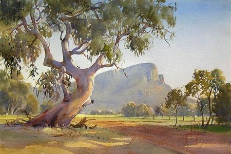 BOB PELCHEN – Australian Watercolour Artist Australian Environment, Watercolour Tree, Watercolour Trees, Forest Paintings, Australian Landscapes, Animation References, Australia Landscape, Mini Canvases, Gum Trees