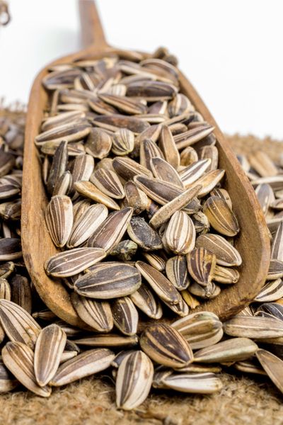 Roasting Sunflower Seeds, Harvest Sunflower Seeds, Harvesting Sunflower Seeds, Aloe Vera Uses, Growing Sunflowers, Low Estrogen Symptoms, Planting Sunflowers, Low Estrogen, How To Roast