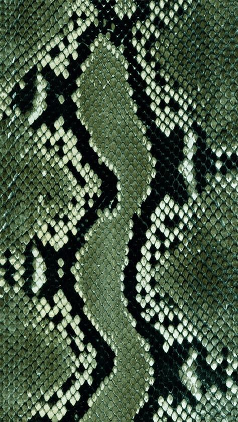 Snakeskin Wallpaper Phone, Green Snakes Aesthetic, Snake Aesthetic Green, Snake Print Aesthetic, Snake Skin Aesthetic, Green Snake Wallpaper, Green Snake Aesthetic, Serpent Wallpaper, Snakes Aesthetic