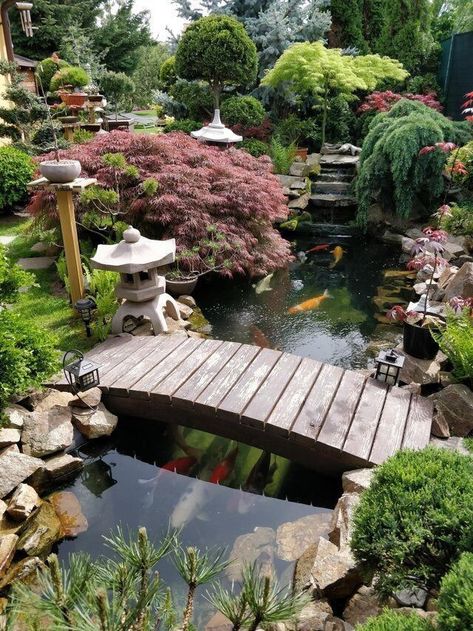 Kolam Koi, Japanese Garden Landscape, Garden Pond Design, Small Pond, Japanese Garden Design, Desain Lanskap, Pond Design, Ponds Backyard, Koi Pond