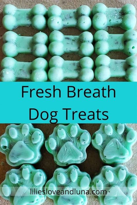 Easy 3 ingredient frozen fresh breath dog treats. Dog Fresh Breath Treats, Dog Breath Treats Homemade, Healthy Frozen Treats For Dogs, Dog Treats For Bad Breath, Simple Dog Treats, Frozen Treats For Dogs, Fresh Breath Dog Treats, Dog Breath Treats, Diy Dog Treats Healthy