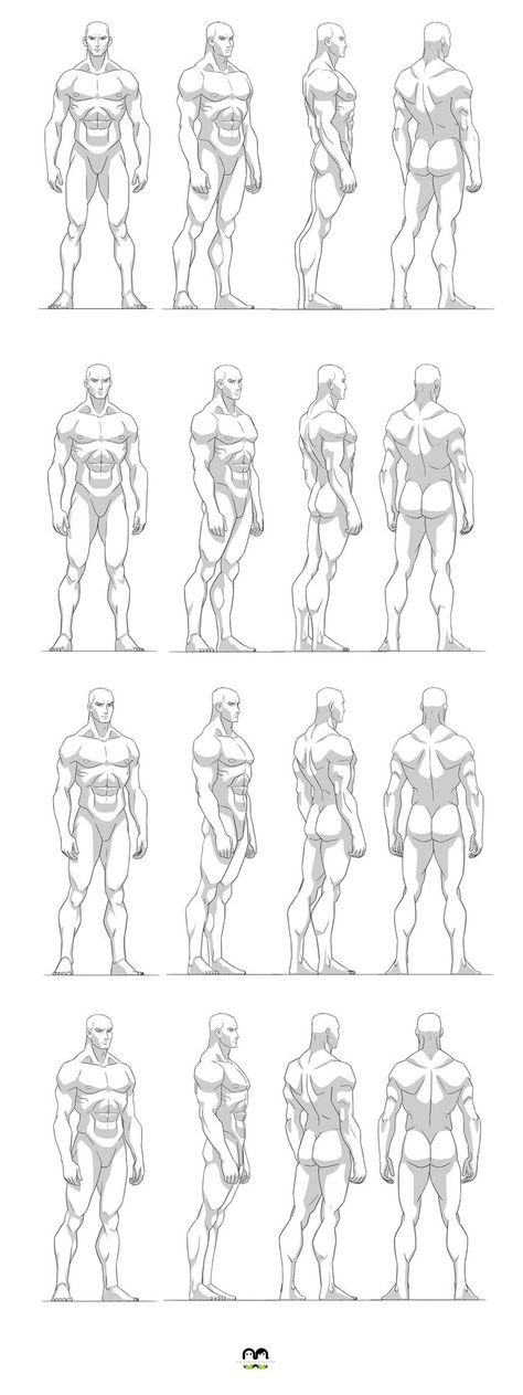 Male Anatomy Reference Turnaround, Male Anatomy Turnaround, Character Turnaround Male Pose Reference, Male Character Design Turnaround, Male Body Turnaround Reference, Men Proportions Drawing, Male Body Character Design, Man Character Turnaround, Muscular Figure Drawing