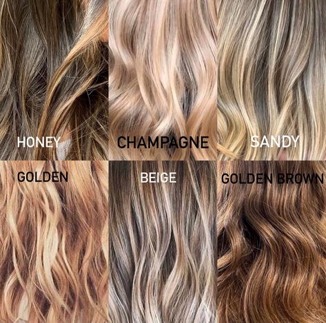 Champagne Colored Hair, Champagne Hair Color Brown, Champagne Highlights On Brown Hair, Medium Champagne Blonde Hair, Champagne Blonde Hair Balayage, Medium Champagne Hair Color, Champagne Balayage, Champagne Blonde Balayage, Champagne Blonde Highlights