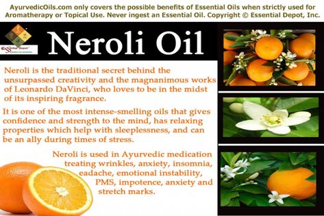 Essential Oils Neroli Essential Oil, Neroli Oil, Citrus Essential Oil, Skin Care Cream, Homemade Remedies, Oil Uses, Essential Oil Uses, Doterra Essential Oils, Mind Body Soul