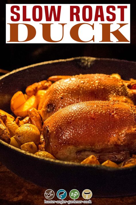 Slow Cooked Duck, Best Roasted Duck Recipe, Roast Whole Duck Recipe, How To Cook Wild Duck, Whole Roast Duck Recipes, Cooking Duck Whole, Dutch Oven Duck, How To Cook Duck In Oven, How To Make Duck