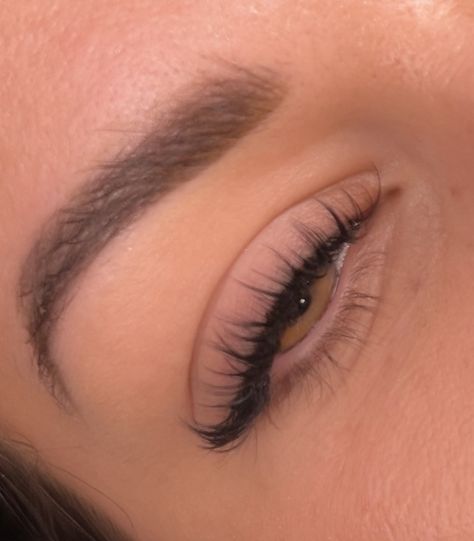 Wet set wispy lash extensions Wet Set, Wispy Lashes, Lash Extensions, Lashes