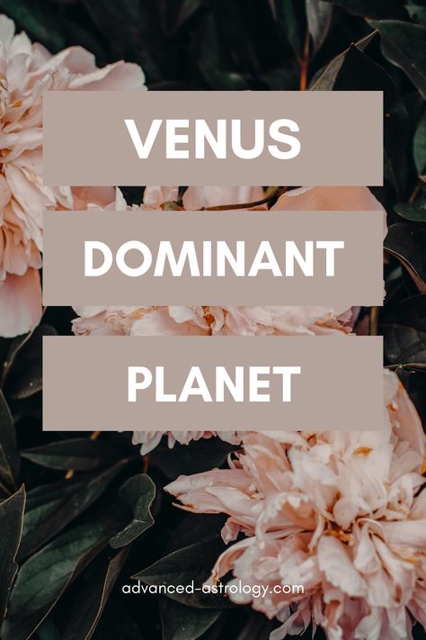 What does it mean if you have a Venus dominant planet in the birth chart? In this article, you can learn everything about Venusian influence in astrology. Through the centuries, Venus was referred to as the lesser benefic (the greater benefic, of course, being Jupiter). Venus brings luck and ease, and it is considered one... Natal Chart Astrology, Venus Star, Venus In Libra, Jupiter Sign, Venus In Leo, Saturn Sign, Mercury Sign, Chart Astrology, Planet Venus