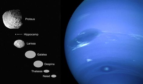 Meet the newest known moon of Neptune Mythical Sea Creatures, Planet Neptune, Ice Giant, Moon Orbit, Hubble Images, Greek And Roman Mythology, Learn Facts, Hubble Space, Milky Way Galaxy