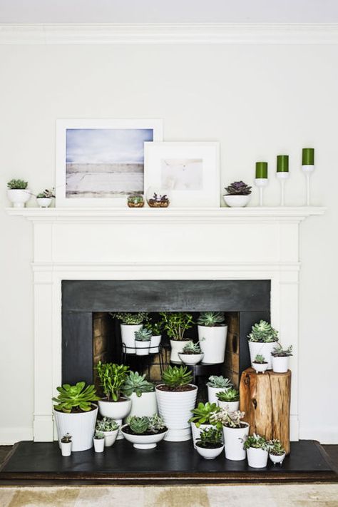 An empty hearth comes alive with an indoor garden. Arrange an array of mismatched pots, in many shapes and sizes, filled with hearty (and low-maintenance!) succulents or ferns. Empty Fireplace Ideas, Fireplace Styling, Unused Fireplace, Design Camino, Contemporary Fireplace, Faux Fireplace, Corner Fireplace, Helsingborg, Fireplace Makeover