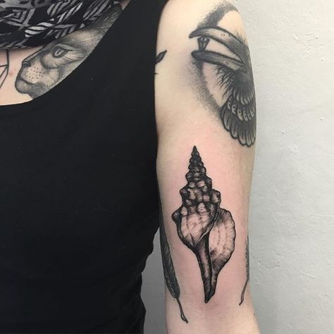 Emily Alice Johnston Conch Tattoo, Ocean Tattoo Ideas, Shell Tattoo, Traditional Black Tattoo, Wave Tattoo Design, Ocean Tattoo, Shell Tattoos, Becoming A Tattoo Artist, Bone Tattoos