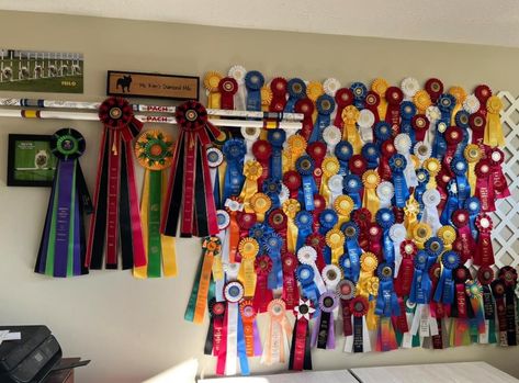 Livestock Aesthetic, Award Ribbon Display, Horse Ribbon Display, Show Ribbon Display, Emily Room, Horse Show Ribbons, Horse Ribbons, Cow Stuff, Ribbon Display